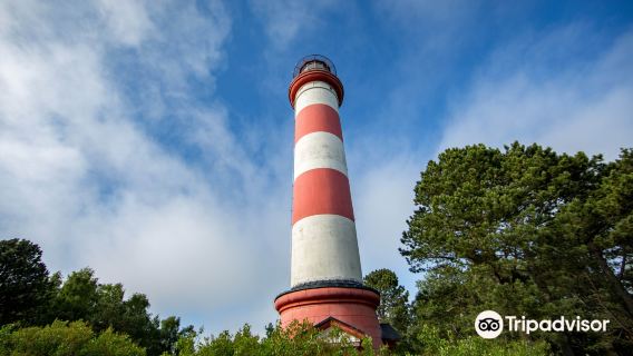 Curonian Spit National Park