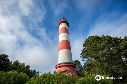 Curonian Spit National Park