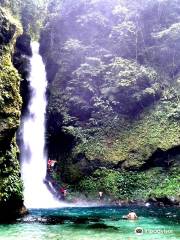 Ditumabo Mother Falls