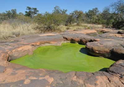 Matsieng's Footprints