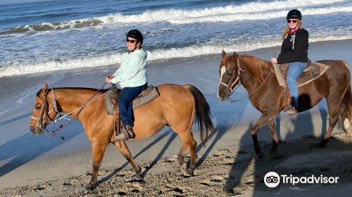 Sea Horse Ranch