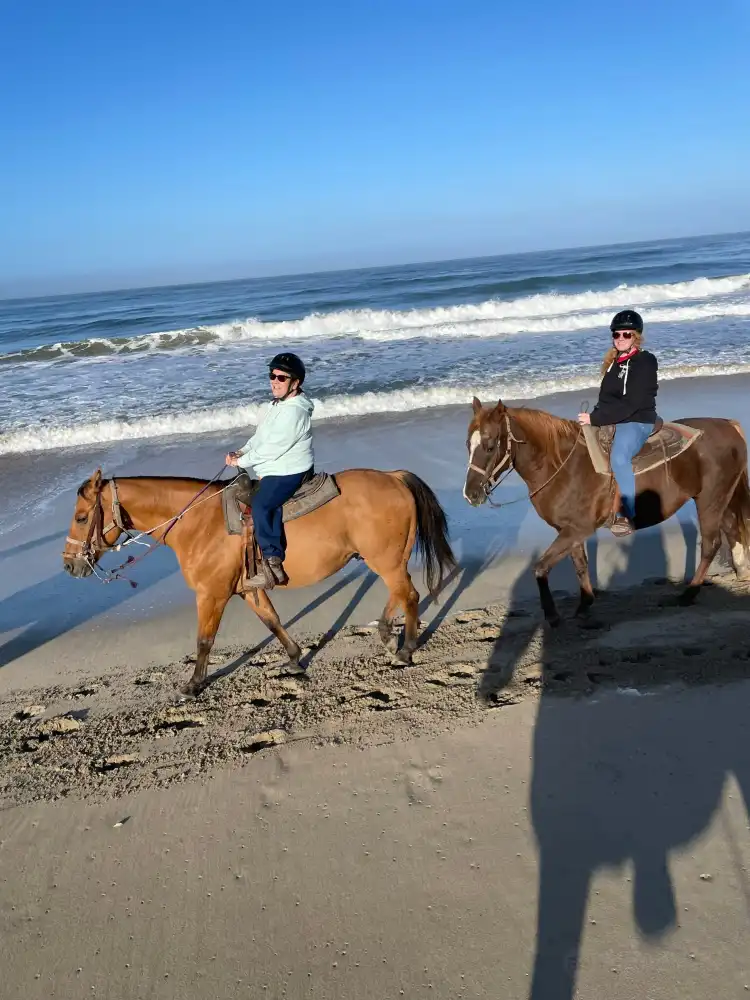 Hotels near Sea Horse Ranch