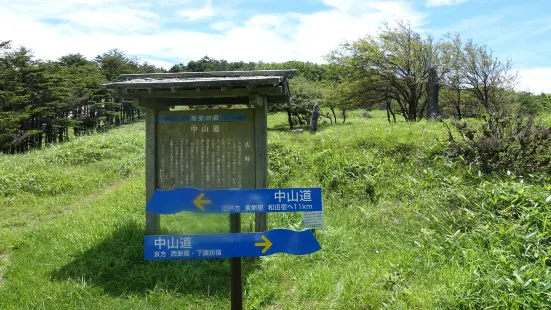 和田峠