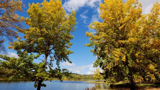 Lake Canobolas