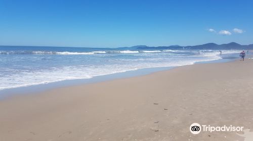 Meia-Praia Beach