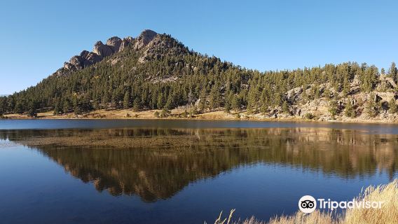 Lily Lake