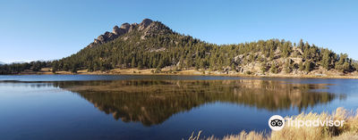 Lily Lake