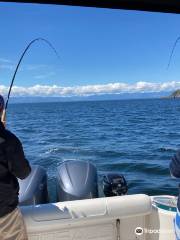 Undercover Sport Fishing Charters