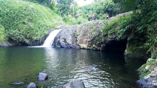 Cascade Delices