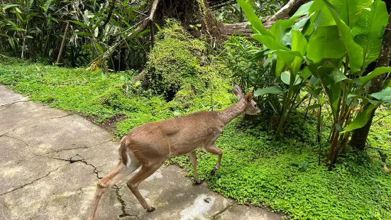 La Marina Wildlife Rescue Center