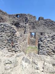 Visite Guidate Pompei