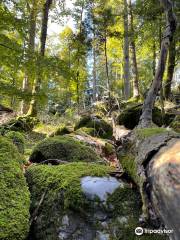 Golubinjak Forest Park