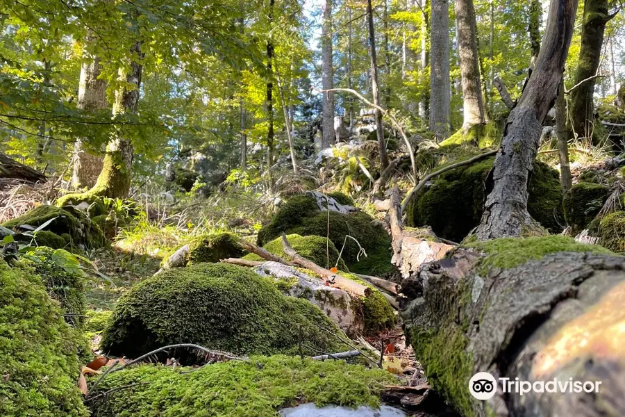 Golubinjak Forest Park