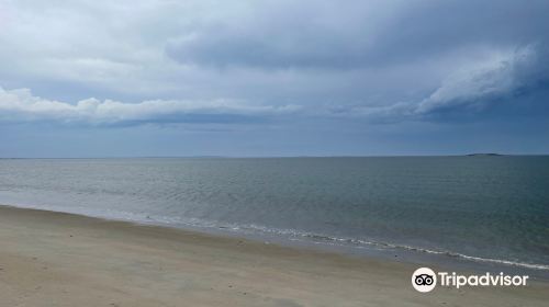 Ferry Beach State Park