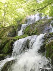 Rose River Falls