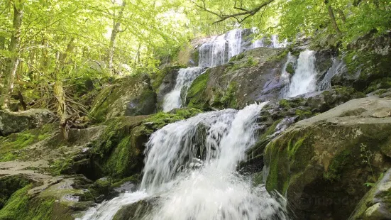 Rose River Falls