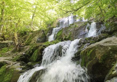 Rose River Falls