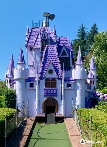 Castle Fun Park