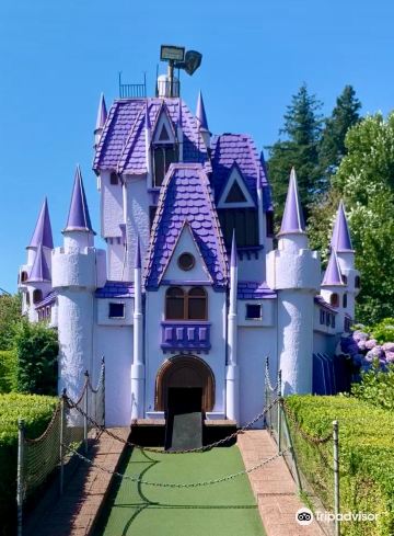 Castle Fun Park