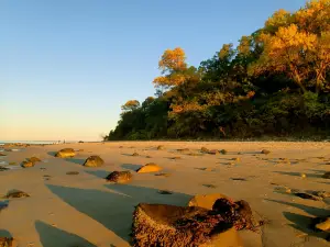 Crane Beach
