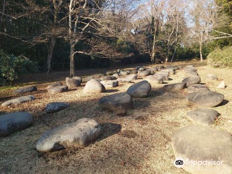 Sakura Castle Ruins Park