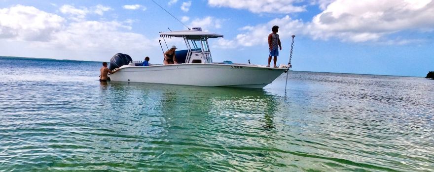 Saltwater Seafari Snorkeling Tours
