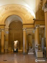 Archaeological Museum of Bologna