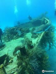 Stuart Cove's Dive Bahamas