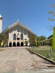 Cattedrale dell'Immacolata Concezione