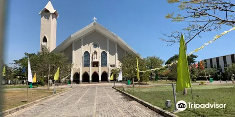 帝力聖母無染原罪主教座堂