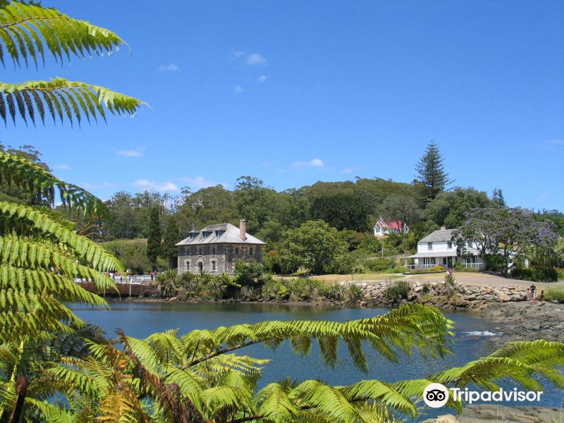 Newcastle to Kerikeri Flights