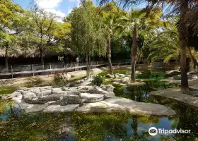 TORREMELINOS Crocodile Park