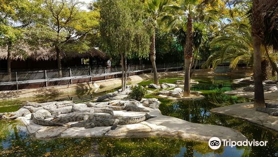 TORREMELINOS Crocodile Park