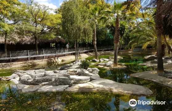 Crocodile Park門票長者