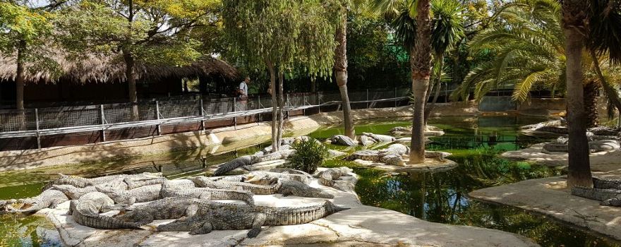 TORREMELINOS Crocodile Park