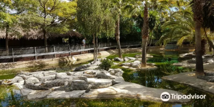 Crocodile Park