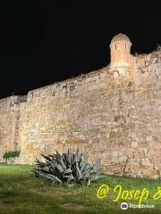 Fortificacion y Murallas