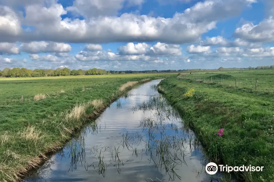 National Park Drentsche Aa