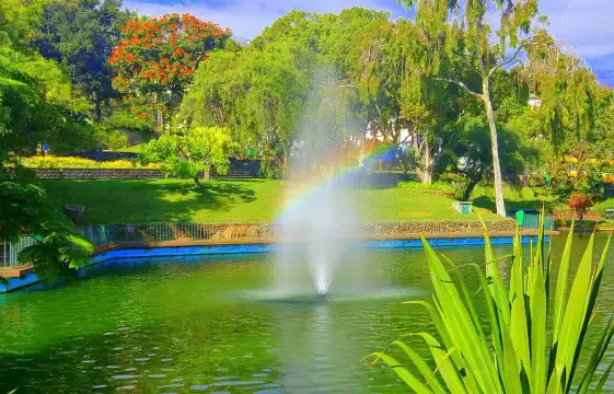 Hotels near Santa Catarina Park