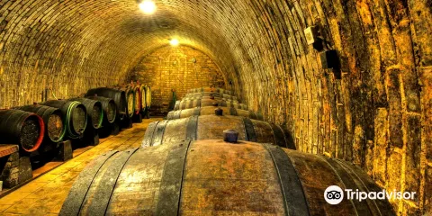 Vinarstvi Zbynek Osicka