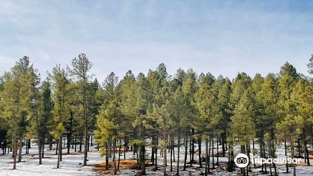 Mexican Canyon Trestle Vista