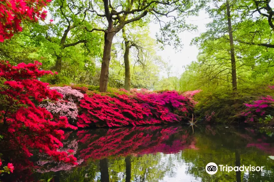 Isabella Plantation