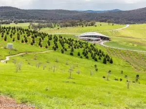 National Arboretum Canberra