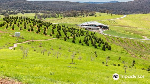 National Arboretum Canberra