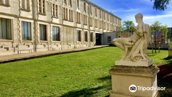 Musee Bernard d'Agesci