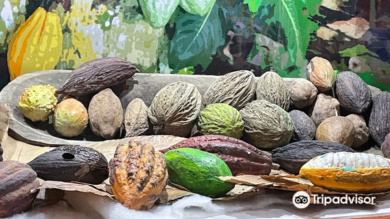 산크리스토발데라스카사스