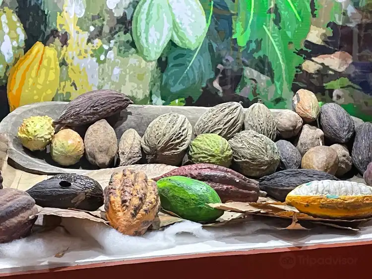 Hotels near Kakaw Museo del Cacao & Chocolateria Cultural