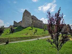 Cetatea Rupea