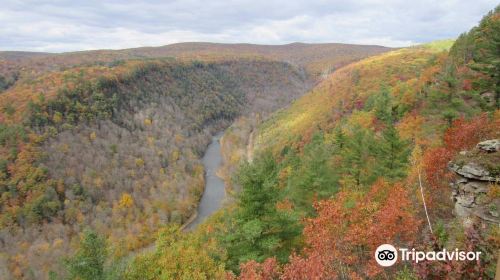 Pine Creek Gorge