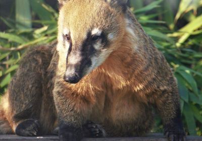 Parc Zoologique de Fort-Mardyck